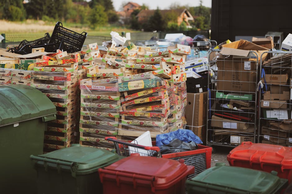 An outdoor scene featuring multiple stacks of cardboard boxes filled with fresh fruit packaging, arranged on a paved surface. To the left, there are several large green and red waste bins with closed lids, positioned in the foreground. Behind the boxes, there are metal wire cages and racks containing various waste materials, including brown paper packaging, cardboard boxes, and plastic containers. The background shows a grassy area with trees and distant houses, indicating a residential or semi-rural setting. The scene is illuminated by natural daylight, casting soft shadows and highlighting the textures of cardboard, plastic, and metal. The gathering of waste materials and containers suggests activity related to waste collection or on-site clearance, aligned with private disposal services like those offered by Rubbish Collection Enfield, in context with alternative rubbish removal options.