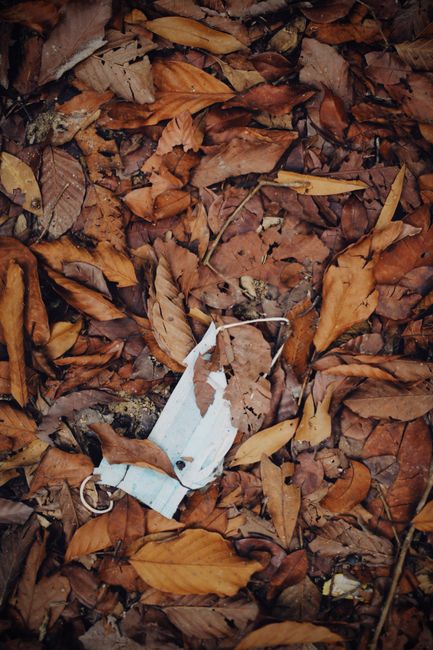 A crumpled disposable face mask made of white material lies discarded among a dense layer of brown and orange fallen autumn leaves on the ground. The mask is partially torn and appears to be resting on a natural environment, possibly a park or garden area, with small twigs and soil visible underneath. The scene highlights the presence of litter in outdoor spaces, emphasizing the importance of proper rubbish disposal, especially in natural settings. The image showcases the contrast between the manufactured mask and the organic leaves, under natural lighting conditions that suggest it is daytime. This visual underscores the need for responsible waste management and environmental awareness in communities, aligning with the context of private waste collection and rubbish removal services offered by companies such as Rubbish Collection Enfield.